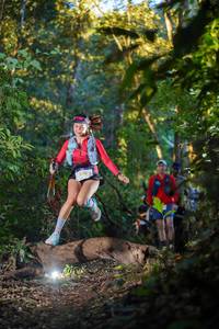 BIB: 1212, 
                            <button type="button" onclick="openModal(19240302)" class="btn btn-primary btn-sm float-right btn-popup" data-toggle="modal" data-target=".modal-high-quality">
                        <i class="fas fa-shopping-cart"></i> Add to Cart
                    </button>
                                            <button type="button" onclick="isThisMe(19240302, true)" class="btn btn-success btn-sm float-right btn-popup btn-isme hidden" data-toggle="tooltip" data-placement="bottom" title="นี่คือรูปของคุณใช่ไหม คลิกที่นี่เพื่อเอาเข้าอัลบั้ม">
                        <i class="fas fa-plus"></i> Add to album
                    </button>
                    <button type="button" onclick="isThisMe(19240302, false)" class="btn btn-warning btn-sm float-right btn-popup btn-isnotme hidden">
                        <i class="fas fa-ban"></i> Remove from album
                    </button>